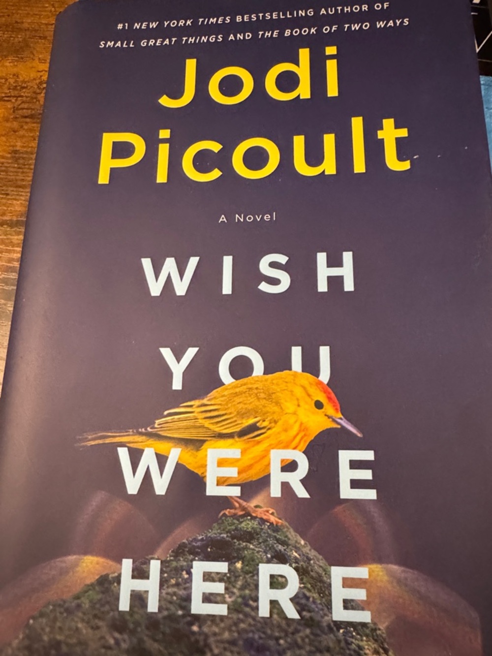 Jodi Picoult "Wish You Were Here" Paperback - Yellow Bird Cover